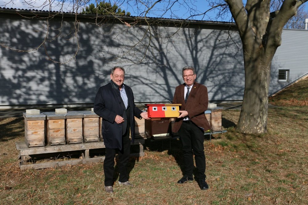 Vogelbrutkästen bei Brunnen Neudörfl