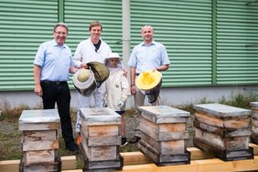 Platz für Bienenstöcke