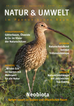Neobiota Gefahr lauert im Garten und öffentlichen Raum