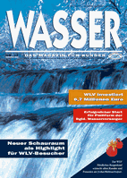 Ausgabe 17