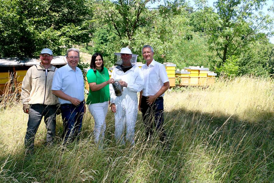 Schutzprojekt für Bienen wird zum großen Erfolg